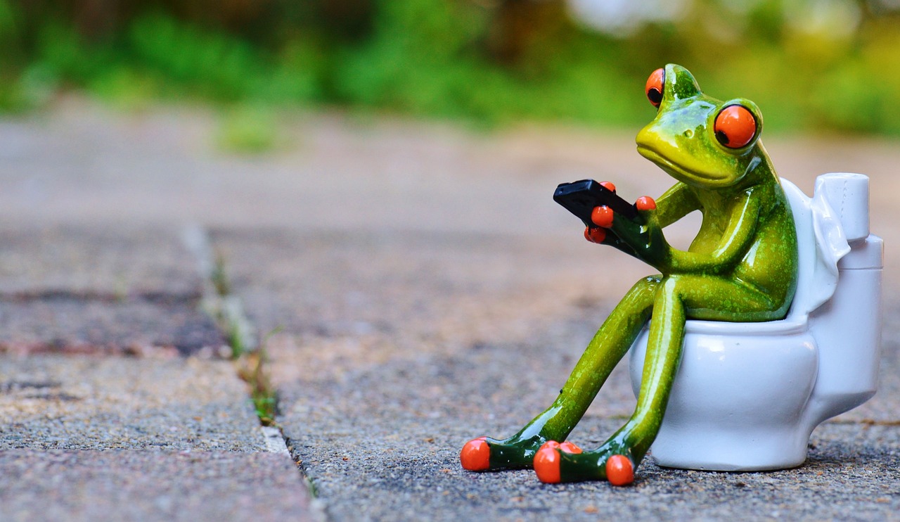 Common Toilet Problems and When to Call a Professional Plumber